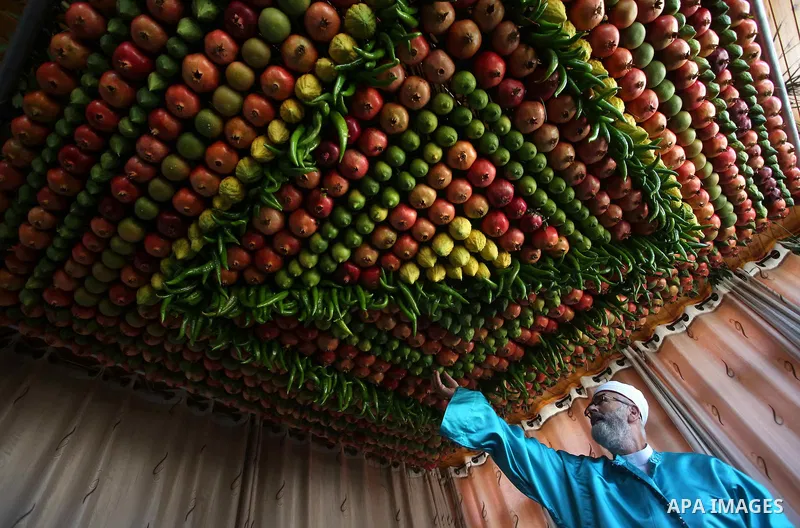 A member of the Samaritan sect decorates a traditional hut known as a sukkot with fruits and vegetables on Mount Gerizim, on the outskirts of the West Bank city of Nablus, October 13, 2016. A sukkot is a ritual hut used...