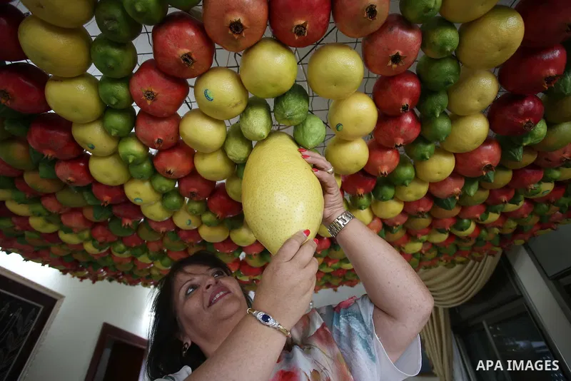 A member of the Samaritan sect decorates a traditional hut known as a sukkot with fruits and vegetables on Mount Gerizim, on the outskirts of the West Bank city of Nablus, October 13, 2016. A sukkot is a ritual hut used...