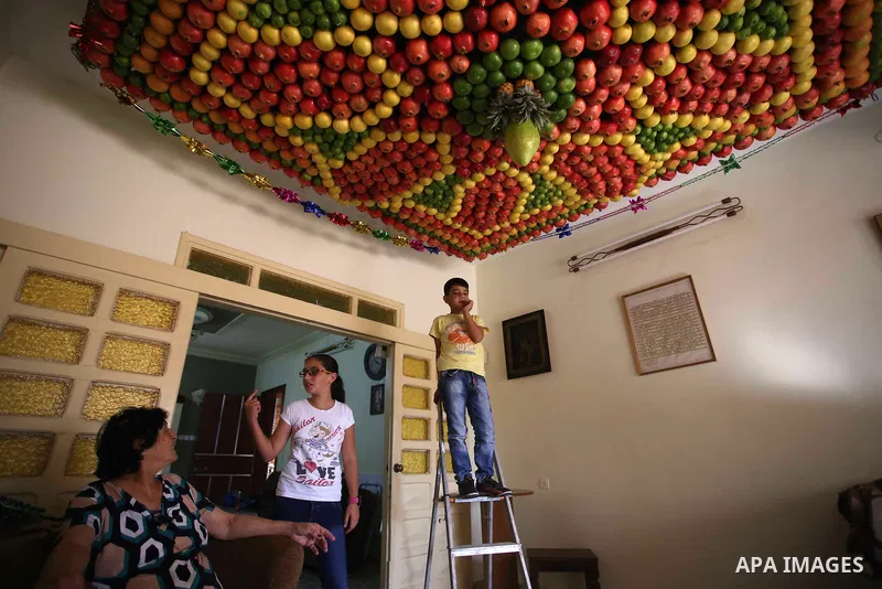 A member of the Samaritan sect decorates a traditional hut known as a sukkot with fruits and vegetables on Mount Gerizim, on the outskirts of the West Bank city of Nablus, October 13, 2016. A sukkot is a ritual hut used...