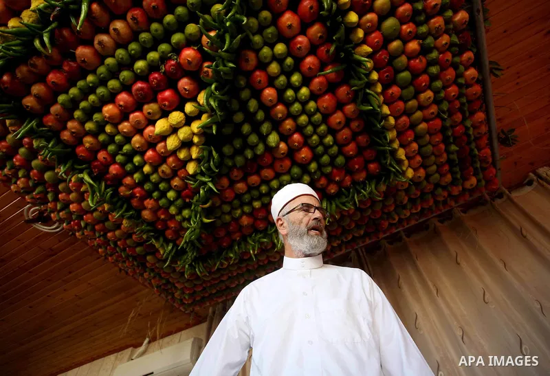 A member of the Samaritan sect decorates a traditional hut known as a sukkot with fruits and vegetables on Mount Gerizim, on the outskirts of the West Bank city of Nablus, October 13, 2016. A sukkot is a ritual hut used...