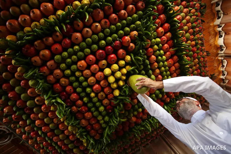 A member of the Samaritan sect decorates a traditional hut known as a sukkot with fruits and vegetables on Mount Gerizim, on the outskirts of the West Bank city of Nablus, October 13, 2016. A sukkot is a ritual hut used...