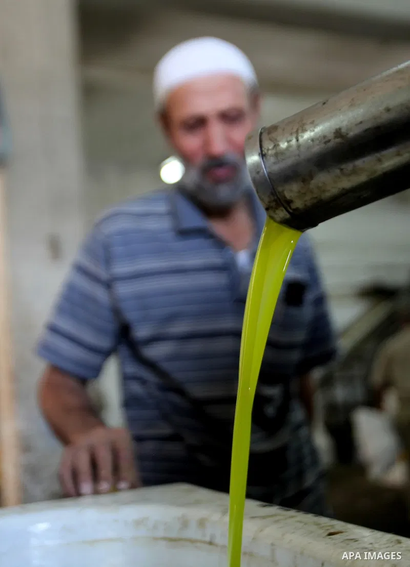 Fresh oil is seen at after crush olive at an olive press in the West bank city of Nablus October 16, 2016. Photo by Nedal Eshtayah