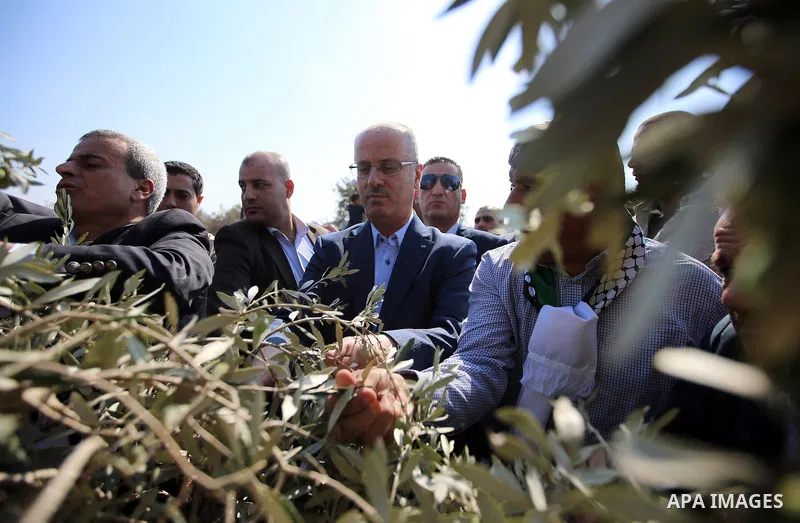 Palestinian Prime Minister Rami Hamdallah takes part during harvest season at a farm in the West Bank city of Qalqilya, on Oct. 22, 2016. Photo by Prime Minister Office
