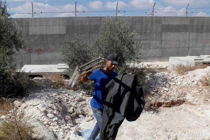 A Palestinian man picks olives during harvest season at his farm near the Israeli controversial separation wall in the village of Beit Awwa, west of the West Bank town of Hebron, on Oct. 23, 2016. Photo by Wisam Hashlamo...