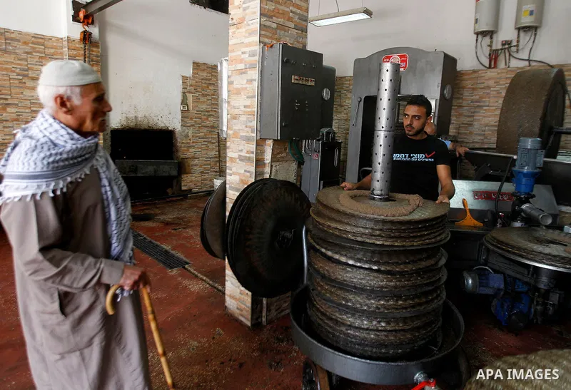 A Palestinian man carries a sheet of ground olives to be made into oil at an olive press in the West Bank city of Beit Jala on October 27, 2016. Photo by Wisam Hashlamoun