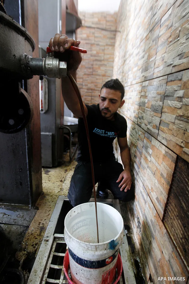 A Palestinian man pours newly-made olive oil into a plastic container at an olive press in the West Bank city of Beit Jala on October 27, 2016. Photo by Wisam Hashlamoun