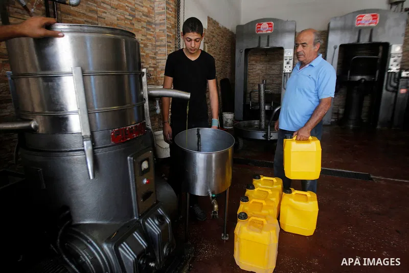 A Palestinian man pours newly-made olive oil into a plastic container at an olive press in the West Bank city of Beit Jala on October 27, 2016. Photo by Wisam Hashlamoun
