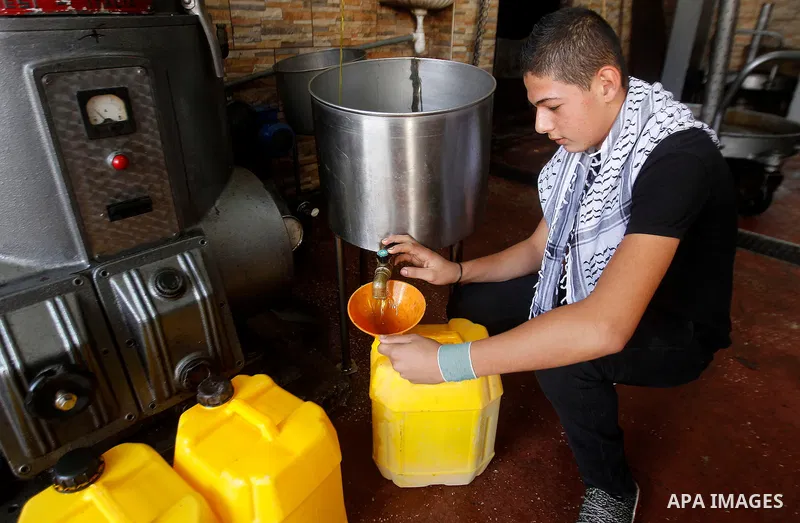 A Palestinian man pours newly-made olive oil into a plastic container at an olive press in the West Bank city of Beit Jala on October 27, 2016. Photo by Wisam Hashlamoun