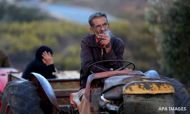 Palestinians wait to allow them to cross their farms during harvest season near the Israeli controversial separation wall in the village of Biddu, north west of Jerusalem, on October 31, 2016. Photo by Shadi Hatem