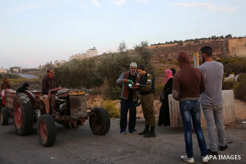 Israeli soldiers check the identity cards of Palestinians before allowing them to cross their farms during harvest season, near the Israeli controversial separation wall in the village of Biddu, north west of Jerusalem,...