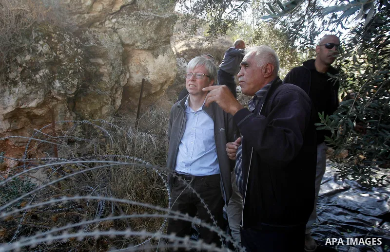 Deputy British Consul General, James Downer picks olives during harvest season in Tal Rumaida in the West Bank city of Hebron, on November 3, 2016, governmental and nongovernmental organization with participation of inte...