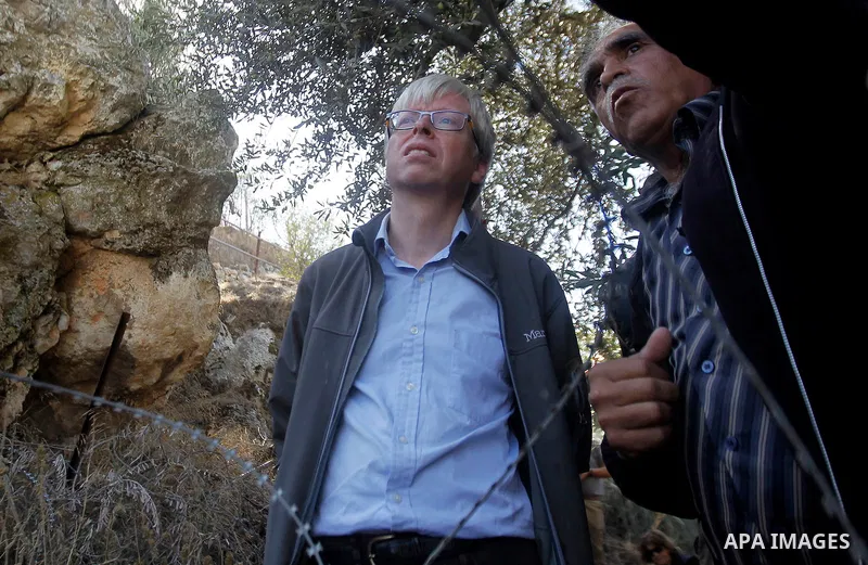 Deputy British Consul General, James Downer picks olives during harvest season in Tal Rumaida in the West Bank city of Hebron, on November 3, 2016, governmental and nongovernmental organization with participation of inte...