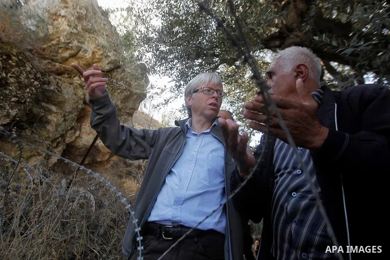 Deputy British Consul General, James Downer picks olives during harvest season in Tal Rumaida in the West Bank city of Hebron, on November 3, 2016, governmental and nongovernmental organization with participation of inte...