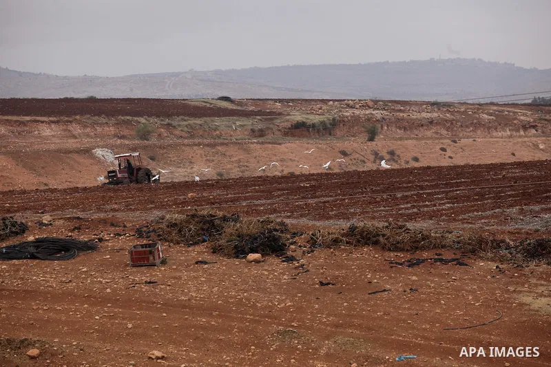 A Palestinian farmer uses a plough in a field in the West Bank village of Nassariya near Nablus November 30, 2016. Photo by Nedal Eshtayah