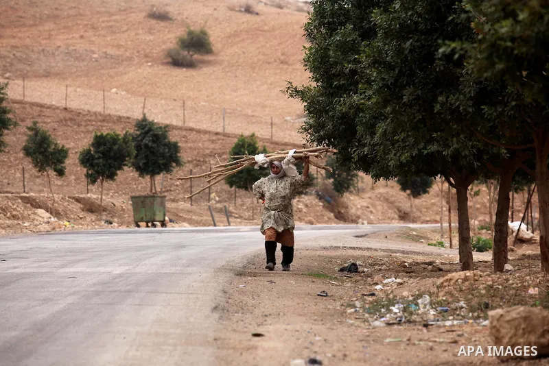 A Palestinian woman carries tree branches to be used for heating and cooking in the West Bank city village of Nassariya near Nablus November 30, 2016. Photo by Nedal Eshtayah