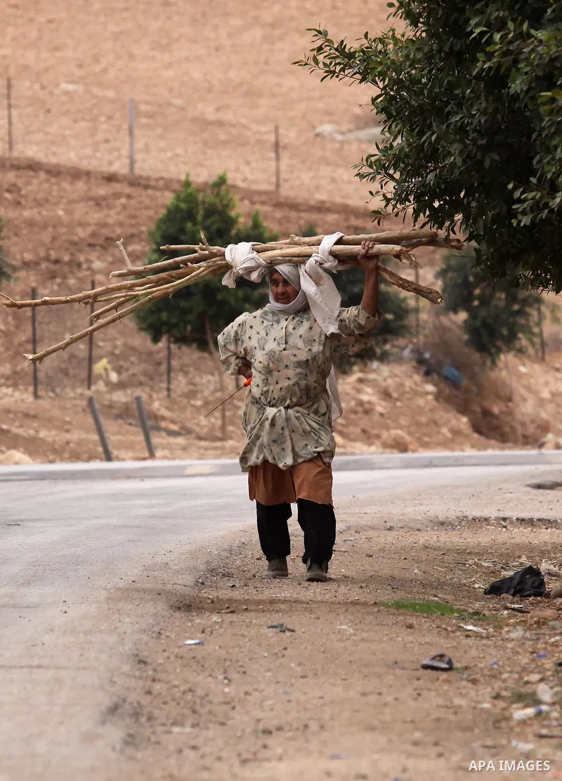 A Palestinian woman carries tree branches to be used for heating and cooking in the West Bank city village of Nassariya near Nablus November 30, 2016. Photo by Nedal Eshtayah