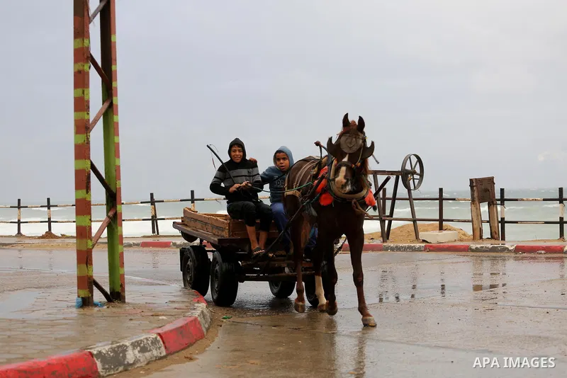 Palestinian boys ride a donkey-drawn cart at a street during rain and a cold spell at the al-Shati refugee camp in Gaza City on December 1, 2016. Photo by Mohammed Asad