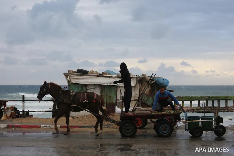 A Palestinian man rides his donkey-drawn cart at a street during rain and a cold spell at the al-Shati refugee camp in Gaza City on December 1, 2016. Photo by Mohammed Asad