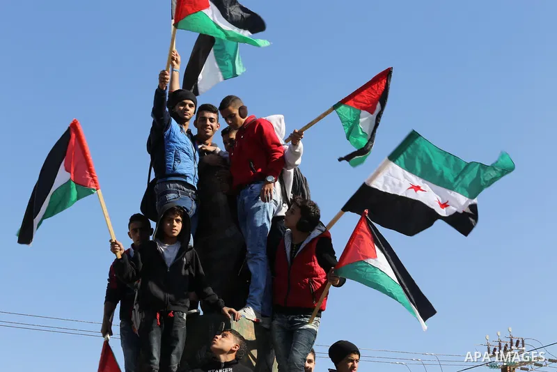 Palestinian youths hold banners and flags during a protest to show solidarity with the people in Burma and Syria, in Gaza city on December 6, 2016. Photo by Mohammed Asad