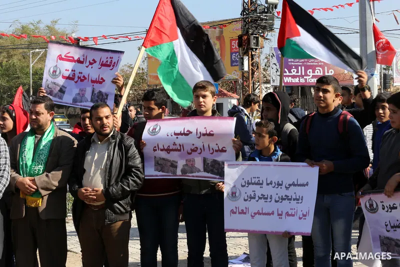 Palestinian youths hold banners and flags during a protest to show solidarity with the people in Burma and Syria, in Gaza city on December 6, 2016. Photo by Mohammed Asad