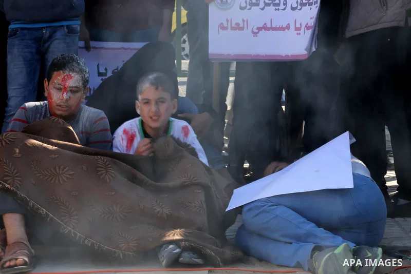 Palestinian youths hold banners and flags during a protest to show solidarity with the people in Burma and Syria, in Gaza city on December 6, 2016. Photo by Mohammed Asad