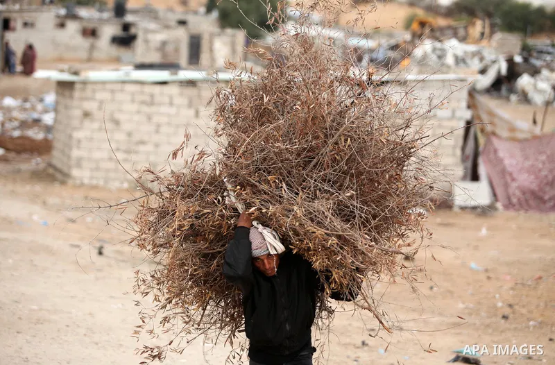 A Palestinian woman collects wood for fire during the winter storm in Khan Younis, in the southern Gaza Strip on December 14, 2016. Photo by Ashraf Amra