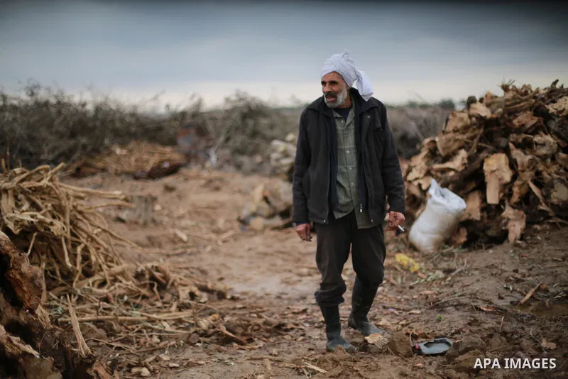 A Palestinian man collects firewood to sell to customers during a winter storm in Gaza city on December 28, 2016. Photo by Mohammed Asad