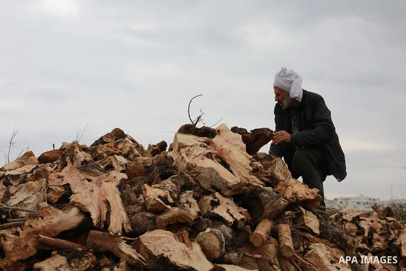 A Palestinian man collects firewood to sell to customers during a winter storm in Gaza city on December 28, 2016. Photo by Mohammed Asad