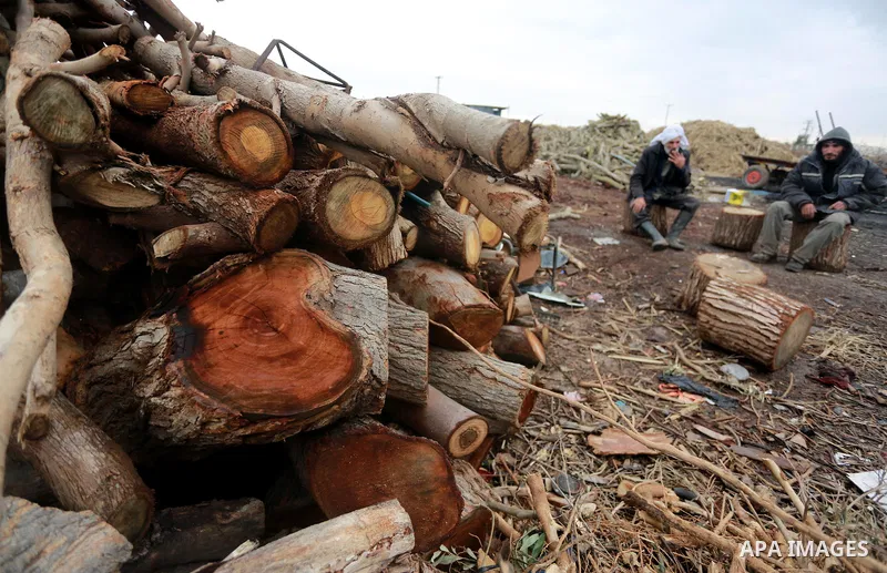 Palestinian men collect firewood to sell to customers during a winter storm in Gaza city on December 28, 2016. Photo by Mohammed Asad