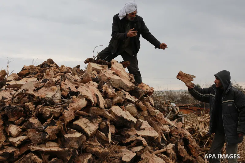 Palestinian men collect firewood to sell to customers during a winter storm in Gaza city on December 28, 2016. Photo by Mohammed Asad