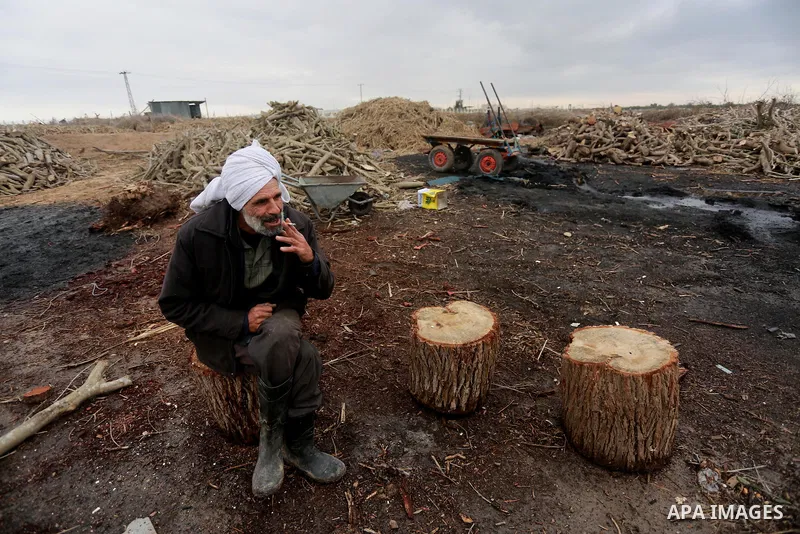 A Palestinian man collects firewood to sell to customers during a winter storm in Gaza city on December 28, 2016. Photo by Mohammed Asad