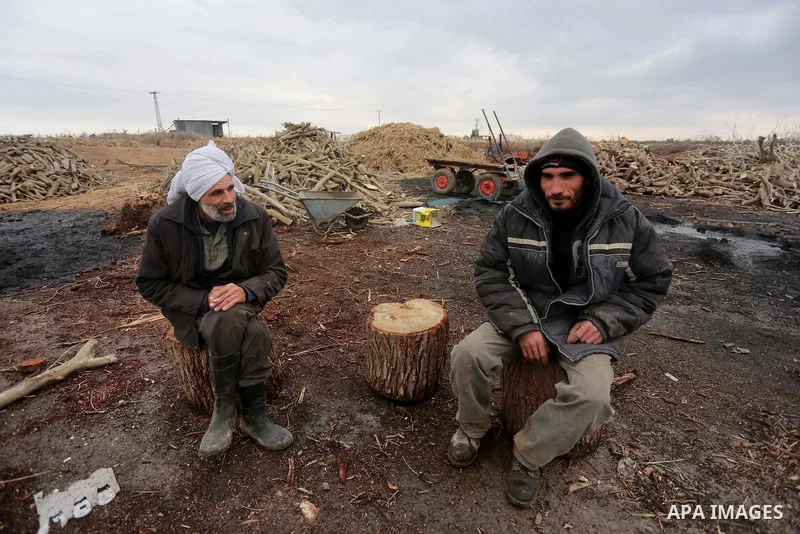 Palestinian men collect firewood to sell to customers during a winter storm in Gaza city on December 28, 2016. Photo by Mohammed Asad