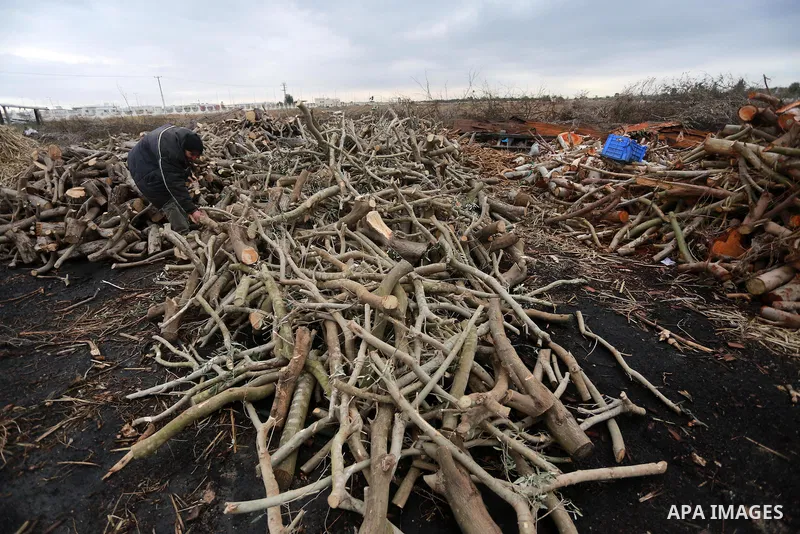 A Palestinian man collects firewood to sell to customers during a winter storm in Gaza city on December 28, 2016. Photo by Mohammed Asad