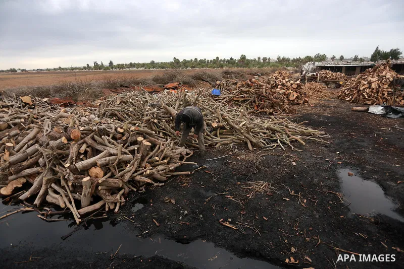 A Palestinian man collects firewood to sell to customers during a winter storm in Gaza city on December 28, 2016. Photo by Mohammed Asad