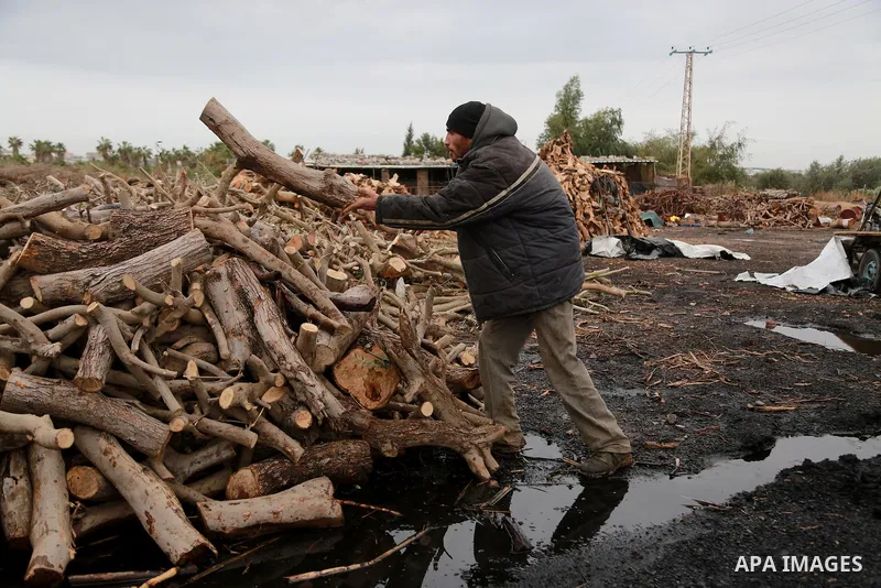 A Palestinian man collects firewood to sell to customers during a winter storm in Gaza city on December 28, 2016. Photo by Mohammed Asad