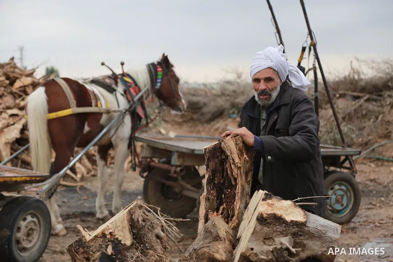 A Palestinian man collects firewood to sell to customers during a winter storm in Gaza city on December 28, 2016. Photo by Mohammed Asad