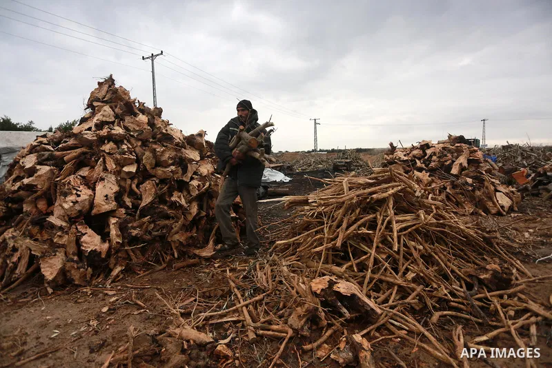 A Palestinian man collects firewood to sell to customers during a winter storm in Gaza city on December 28, 2016. Photo by Mohammed Asad