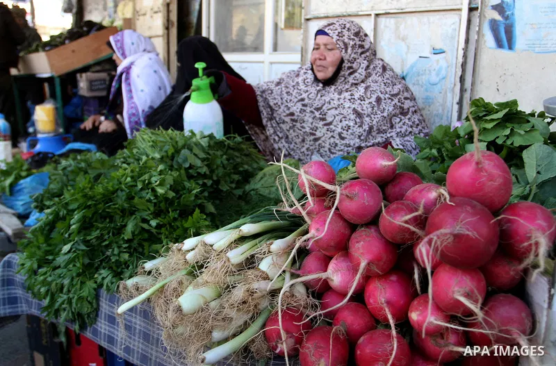 Palestinians shop at a market in Rafah in the southern of Gaza strip, on December 31, 2016. Photo by Abed Rahim Khatib