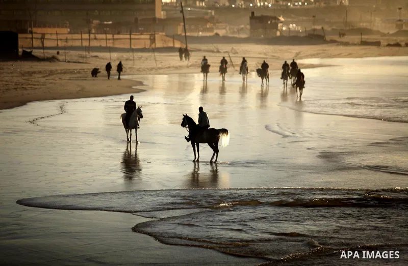 Palestinian men ride their horse as they enjoy the last sunset of 2016 at the beach of Gaza city, on the December 31, 2016. Photo by Ashraf Amra