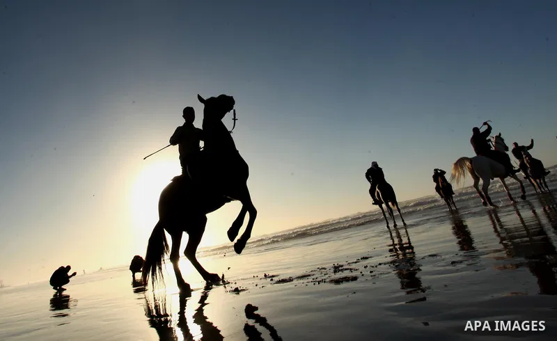 A Palestinian man rides his horse as he enjoy the last sunset of 2016 at the beach of Gaza city, on the December 31, 2016. Photo by Ashraf Amra