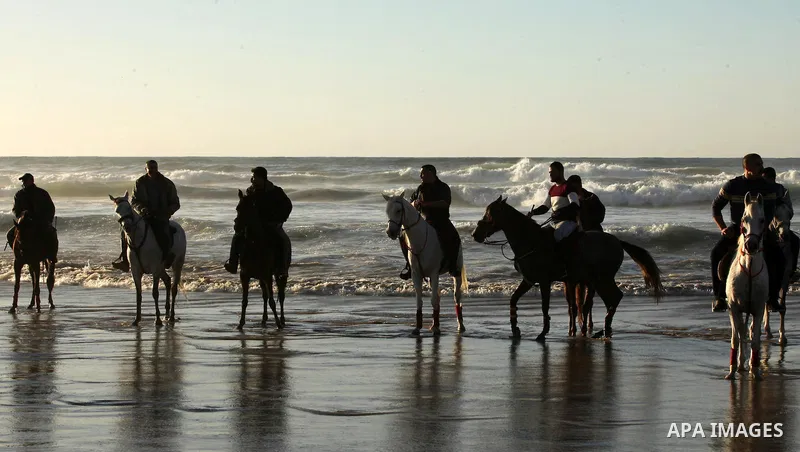 Palestinian men ride their horse as they enjoy the last sunset of 2016 at the beach of Gaza city, on the December 31, 2016. Photo by Ashraf Amra