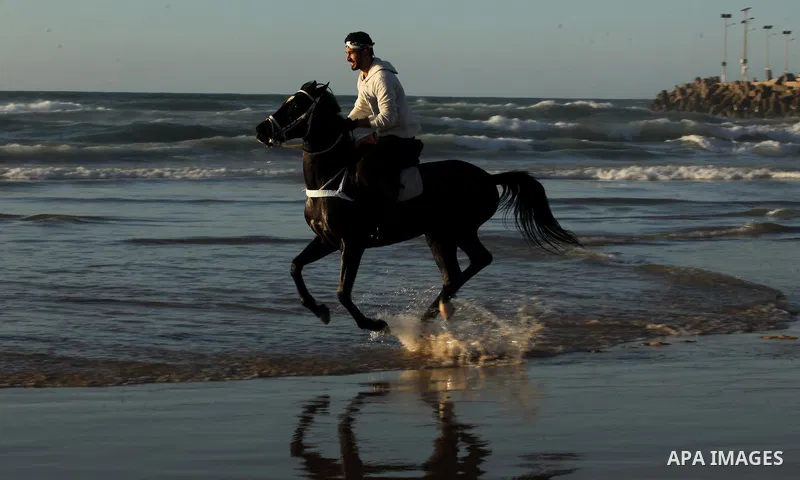 A Palestinian man rides his horse as he enjoy the last sunset of 2016 at the beach of Gaza city, on the December 31, 2016. Photo by Ashraf Amra