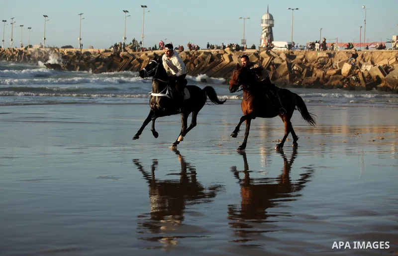 Palestinian men ride their horse as they enjoy the last sunset of 2016 at the beach of Gaza city, on the December 31, 2016. Photo by Ashraf Amra