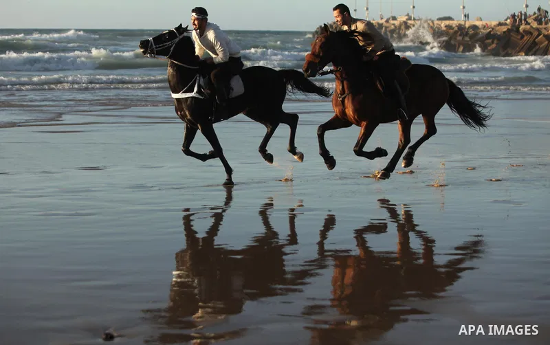 Palestinian men ride their horse as they enjoy the last sunset of 2016 at the beach of Gaza city, on the December 31, 2016. Photo by Ashraf Amra