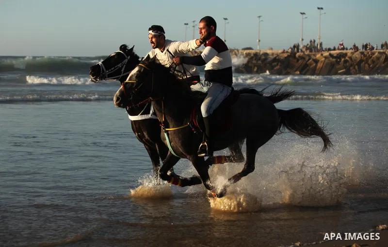 Palestinian men ride their horse as they enjoy the last sunset of 2016 at the beach of Gaza city, on the December 31, 2016. Photo by Ashraf Amra