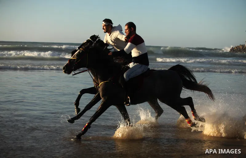Palestinian men ride their horse as they enjoy the last sunset of 2016 at the beach of Gaza city, on the December 31, 2016. Photo by Ashraf Amra