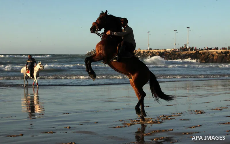 A Palestinian man rides his horse as he enjoy the last sunset of 2016 at the beach of Gaza city, on the December 31, 2016. Photo by Ashraf Amra