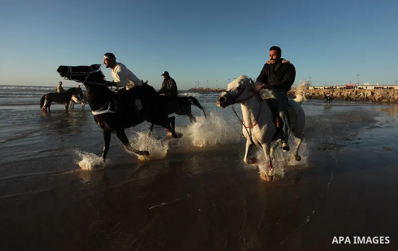 Palestinian men ride their horse as they enjoy the last sunset of 2016 at the beach of Gaza city, on the December 31, 2016. Photo by Ashraf Amra