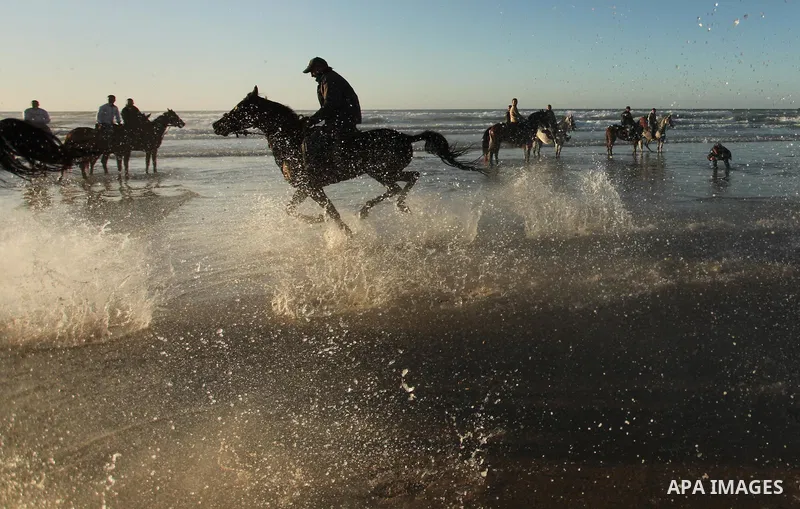 Palestinian men ride their horse as they enjoy the last sunset of 2016 at the beach of Gaza city, on the December 31, 2016. Photo by Ashraf Amra