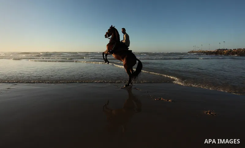 A Palestinian man rides his horse as he enjoy the last sunset of 2016 at the beach of Gaza city, on the December 31, 2016. Photo by Ashraf Amra
